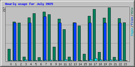 Hourly usage for July 2025